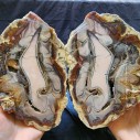 9.63 lbs (4.36 kg) Chalcedony or Opal Pair, Geode, Chalcedon, Opale, Opalo