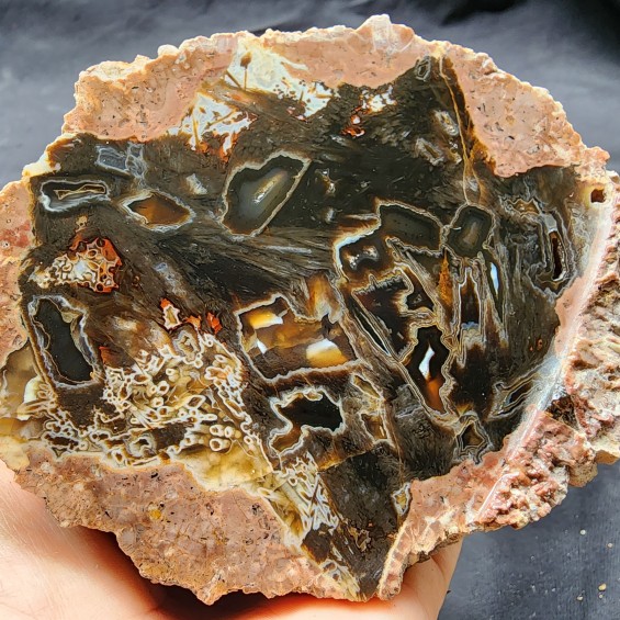 Stick Thunder Egg Agate