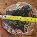 Stick Thunder Egg Agate