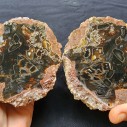 Stick Thunder Egg Agate