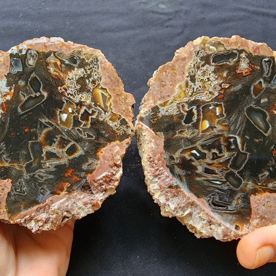 Stick Thunder Egg Agate