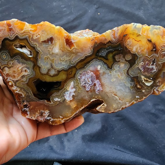 Collectible Agate Slice, Lapidary Rough Agate Rough Cut Agate