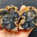 Waterline Agate Pair, Agate Specimen, Agate Display, Agaat, Agata