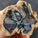 Waterline Agate Pair, Agate Specimen, Agate Display, Agaat, Agata