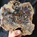  4.9 lbs (2.25 kg) Collectible Agate Rough, Lapidary Supplies, Edelstein Schmuck