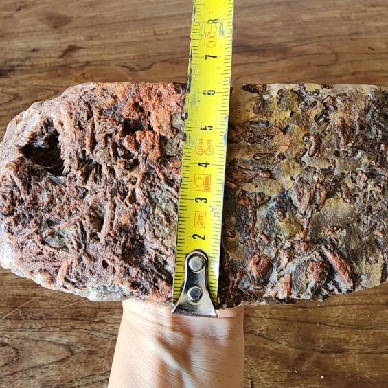 2.5 lbs (1.13 kg) Collectable Botryoidal Agate, Tube Agate, Stick Agate Stone, Agate Rock