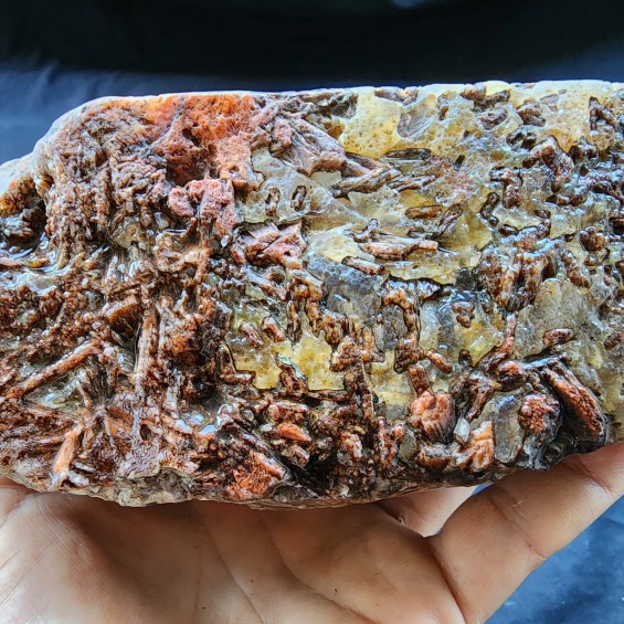 2.5 lbs (1.13 kg) Collectable Botryoidal Agate, Tube Agate, Stick Agate Stone, Agate Rock