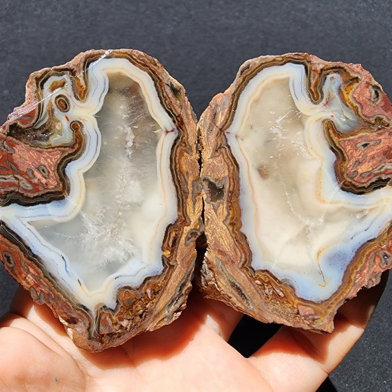 Crystal Thunder Egg, Rhyolite Agate Pair, Collectible Agate