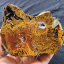 Collectible Plume Agate Pair, Lapidary lbs, Collectable Rock