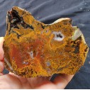 Collectible Plume Agate Pair, Lapidary lbs, Collectable Rock