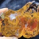 Collectible Plume Agate Pair, Lapidary lbs, Collectable Rock