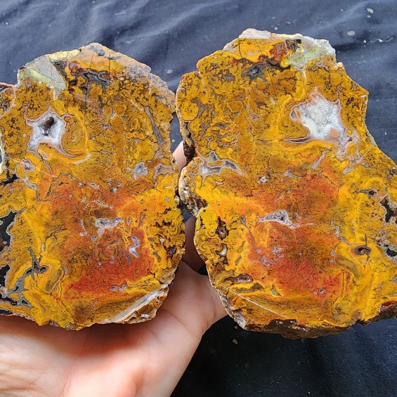 Collectible Plume Agate Pair, Lapidary lbs, Collectable Rock