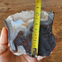 Quartz Agate , Collectible Rocks