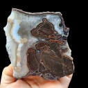 Quartz Agate , Collectible Rocks