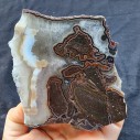 Quartz Agate , Collectible Rocks