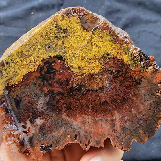 Red Stick Agate, Plume Agate, Rough Rock