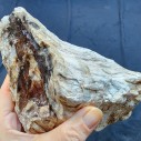 Petrified Wood, Fossil Wood, Fossilized Wood, Petrified Log, Petrified Branch 