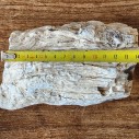 Petrified Wood, Fossil Wood, Fossilized Wood, Petrified Log, Petrified Branch 