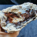 Petrified Wood, Fossil Wood, Fossilized Wood, Petrified Log, Petrified Branch 