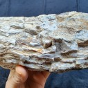 Petrified Wood, Fossil Wood, Fossilized Wood, Petrified Log, Petrified Branch 