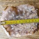 Botryoidal Agate Pair, Lapidary Rough, Slabbing, Cabbing