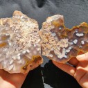 Botryoidal Agate Pair, Lapidary Rough, Slabbing, Cabbing