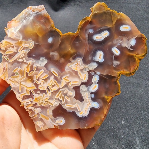 Botryoidal Agate Pair, Lapidary Rough, Slabbing, Cabbing