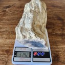 Petrified Log, Petrified Wood