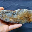 Fairburn Agate Nodule, Collectible Banded Agate, Lapidary Raw