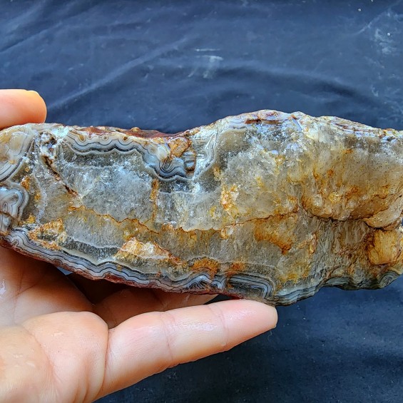 Fairburn Agate Nodule, Collectible Banded Agate, Lapidary Raw