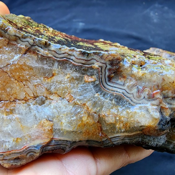 Fairburn Agate Nodule, Collectible Banded Agate, Lapidary Raw