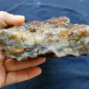 Fairburn Agate Nodule, Collectible Banded Agate, Lapidary Raw