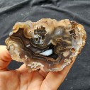 Tube Agate Collectible Rock, Stone for Healing