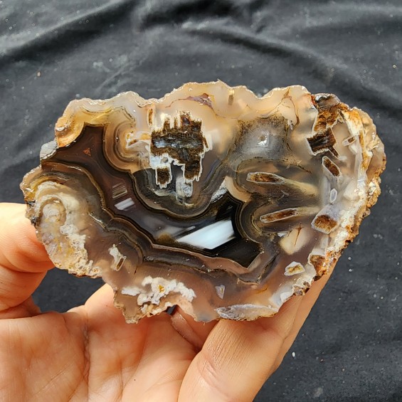 Tube Agate Collectible Rock, Stone for Healing