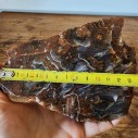 Brown Agate, Collectible Rock, Lapidary Slab,  玛瑙