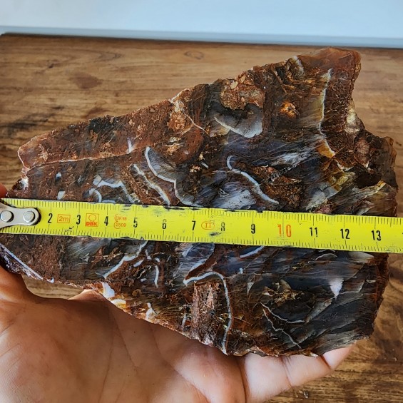 Brown Agate, Collectible Rock, Lapidary Slab,  玛瑙