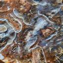 Brown Agate, Collectible Rock, Lapidary Slab,  玛瑙