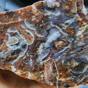 Brown Agate, Collectible Rock, Lapidary Slab,  玛瑙