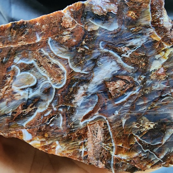 Brown Agate, Collectible Rock, Lapidary Slab,  玛瑙