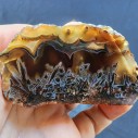 Stick Agate, Collectible Rock, Tube Agate, 瑪瑙, Achate, Raw Agate