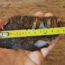 Plume Agate, Moss Agate, Agate Slabs, Flame Agate