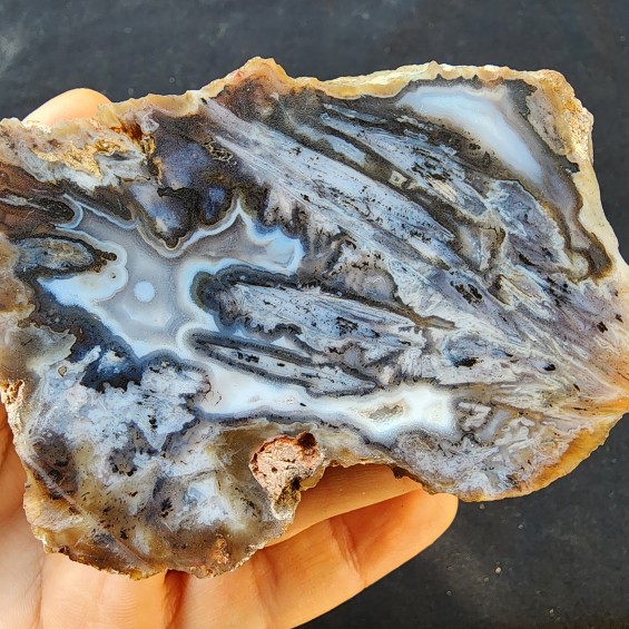  Collectible Agate, めのう, 마노, 玛瑙, Agate Pair, Unpolished Stone