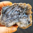  Collectible Agate, めのう, 마노, 玛瑙, Agate Pair, Unpolished Stone