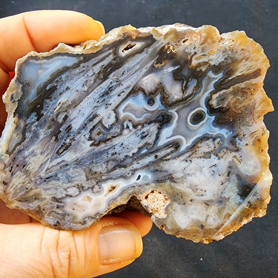  Collectible Agate, めのう, 마노, 玛瑙, Agate Pair, Unpolished Stone