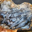  Collectible Agate, めのう, 마노, 玛瑙, Agate Pair, Unpolished Stone