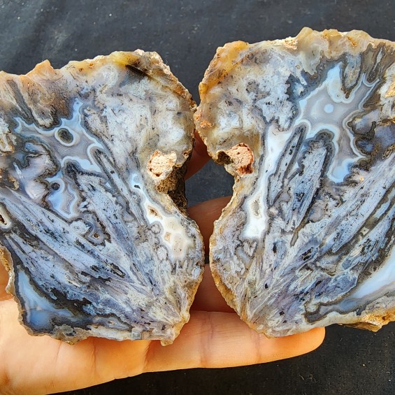  Collectible Agate, めのう, 마노, 玛瑙, Agate Pair, Unpolished Stone