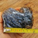  Collectible Agate, めのう, 마노, 玛瑙, Agate Pair, Unpolished Stone