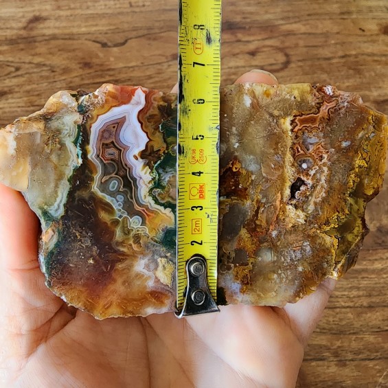 Agatized Jasper, Plume Agate, Sagenite Agate