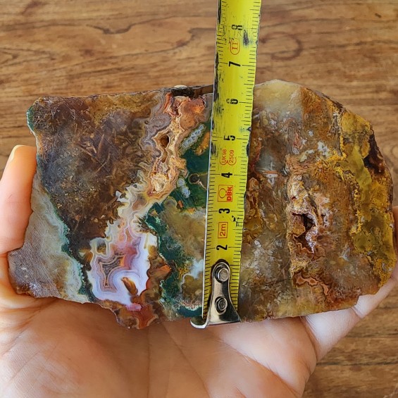 Agatized Jasper, Plume Agate, Sagenite Agate