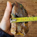 Agatized Jasper, Plume Agate, Sagenite Agate